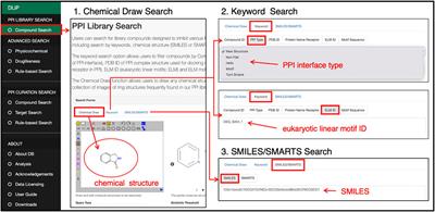 DLiP-PPI library: An integrated chemical database of small-to-medium-sized molecules targeting protein–protein interactions